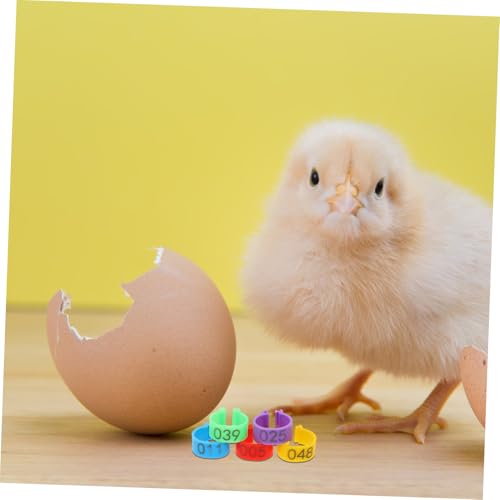 GANAZONO 50pcs Chicken Identification Anklets Digital Leg Bands for Hens Pigeons Ducks Geese