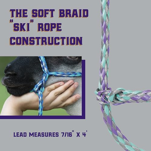 Weaver Livestock Braided Poly Rope Halter, 4 ft | Modern, Adjustable, Soft Braid, For Sheep & Goats - color: Gray/Lavender/Mint
