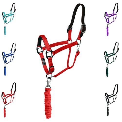 Majestic Ally Leather Halter with Matching Lead Rope for Horses – Leather Breakaway Crown - Adjustable Chin Strap – Rolled Throat Latch – Padded Noseband – Full (Red, Cob) - color: Red, size: Cob