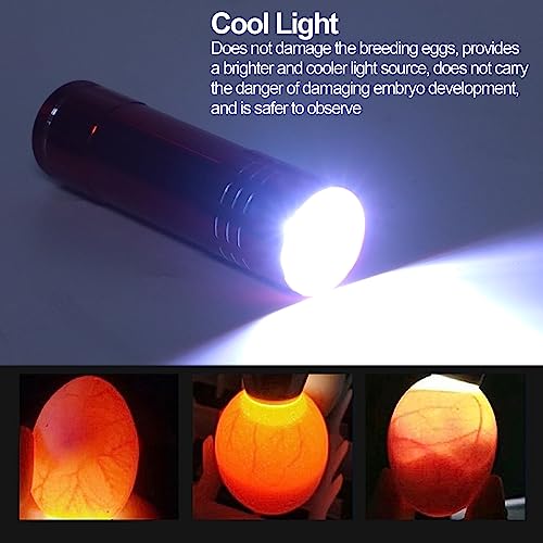 Egg Tester, LED Cool Light Candler Lamp, Metal and Plastic Material, Detachable Cone Spot Light, Suitable for Bird Duck Goose Quail Eggs, Delivered Without Battery (Red) - color: Red