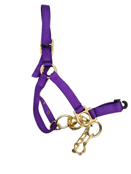 Heavy Duty Nylon Yearling Cow Halter with Control Chain - size: Lime Green