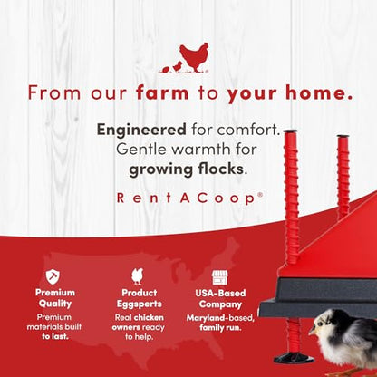 RentACoop 12x12” Adjustable Heating Plate with Bonus Foldable Anti-Roost Cone for up to 20 Chicks | Chick Brooder Heat Plate – Energy-Efficient 22-Watt Chick Heater - Safer Than Heat Lamps