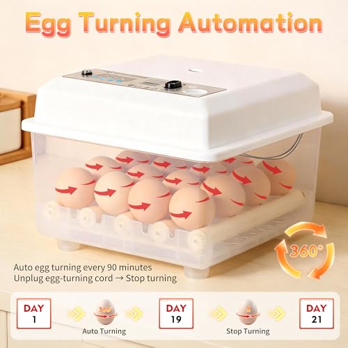 Egg Incubator for Hatching Eggs 16 Egg Chicken Egg Incubator with Automatic Egg Turning Precise SJZ SUN RUN Temperature Display for Chicken Coop Duck Goose & Quail Eggs