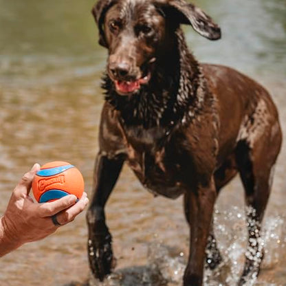Chuckit! Ultra Ball Dog Toy - Size XXL - For Dogs 100+ lbs - Made from Durable Rubber - Super Bouncy - Floats in Water - 4-inch Diameter - Pack of 1 - color: Ultra, size: XXL