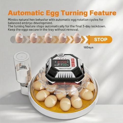Incubators for Hatching Eggs, 12–18 Egg Capacity Digital Egg Incubator with Automatic Egg Turning and Accurate Humidity Control for Chicken, Quail, Duck