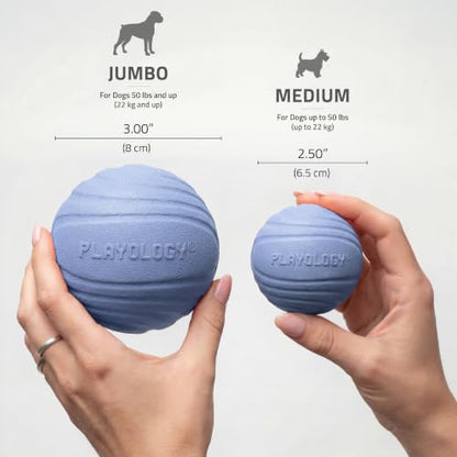 Playology Dog Toys | Dual Layer Ball Durable Chew Toy for Tough Chewers | Blueberry Scented Jumbo Dog Toy | Chew Toys for Large Dogs - size: Jumbo, style: Blueberry