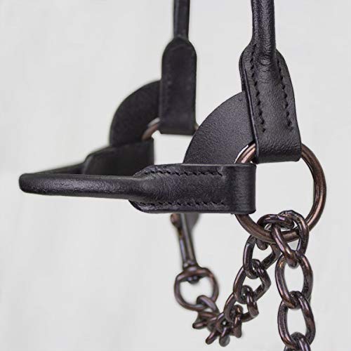 Derby Originals Bronze Beauty Premium Round Rolled Leather Cattle Show Halter with Matching Chain Lead - color: Chestnut, size: Small