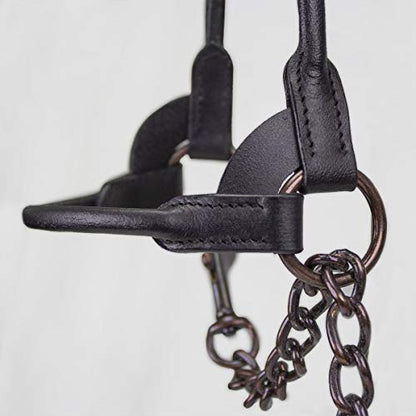 Derby Originals Bronze Beauty Premium Round Rolled Leather Cattle Show Halter with Matching Chain Lead - color: Chestnut, size: Small