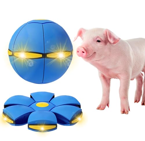 Pig Toy - Toy for Pigs, Interactive Pig Flying Saucer Disc Ball Toys with 6 Lights for Mini Pigs, Enrichment Play for Pet Pigs Supplies Enjoyment and Fun - color: Blue