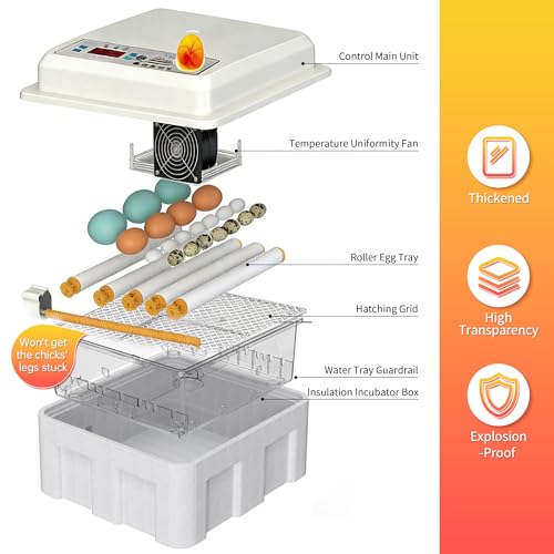 Egg Incubator for Hatching Eggs 16 Egg Chicken Egg Incubator with Automatic Egg Turning Precise SJZ SUN RUN Temperature Display for Chicken Coop Duck Goose & Quail Eggs