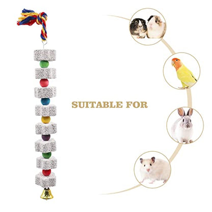 2 Pack Large Chicken Chewing Toy, Chick Beak Grinding Calcium Stone with Bells, Cage Accessories for Bird Parrot Cockatiel Parakeet Budgies Rat Hamster Rabbit Bunny African Grey Guinea Pig Chinchilla - color: White