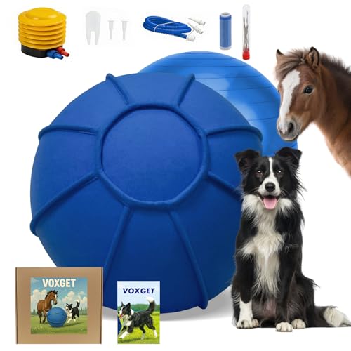 Dog Toy Ball for Dogs, Interactive Dog Training Toy for Medium Large Breeds Outdoor Play, Collies Exercise Agility (Blue,L)