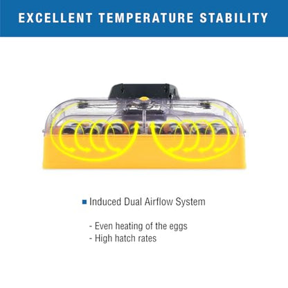 Brinsea Ovation 56 Advance Egg Incubator with Humidity Display, Automatic Egg Turning, Precision Controls, Temperature Alarms for Hatching 56 Chicken, Duck, and Other Bird Eggs - size: 56 Eggs