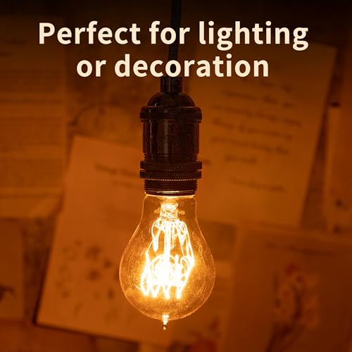 Warm Incandescent Light Bulbs 60 Watt,A19/A60 Vintage Style Edison Bulbs E26,Soft Yellow Light Bulbs,Amber Bulbs,Retro Light Bulb Old Fashioned,Halogen Dimmable Edison Bulb Squirrel Cage - size: 6 Count (Pack of 1)
