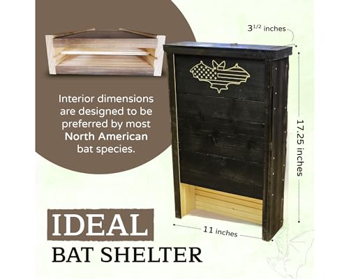 Made in USA- Black Stained Pine Bat House, 2 Chamber Bat Box, Easy-to-Install Wooden Bat House Kit, Weather-Resistant Bat Houses for Outdoors, with Mounting Screws - Applewood Outdoor - style: 2 Chamber Black