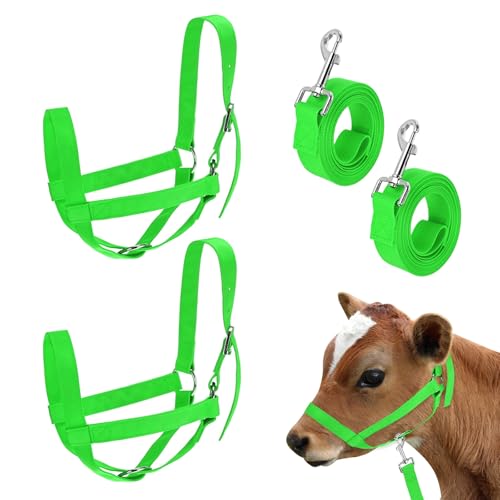 M METERXITY 2-Pack Adjustable Cattle Cow Calf Halter, 16.54"-20.47" Nylon Livestock Cow Halter with Leading Rope for Miniature Horse/Donkey/Goat/Cattle [Green] - color: Green, size: 16.54"-20.47"