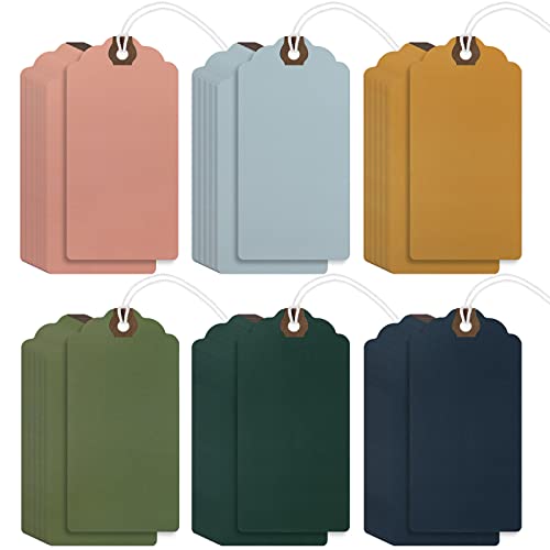 Outus 60 Pcs 4 3/4-in x 2 3/8-in Blank Large Paper Gift Tags with String and Reinforced Eyelet Wire Writable Price Tags Shipping Labels Inventory Labels(Morandi Color) - color: Morandi Color