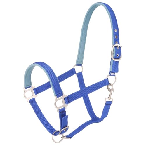 Tough1 Padded Halter with Satin Hardware - color: Royal Blue, size: Yearling