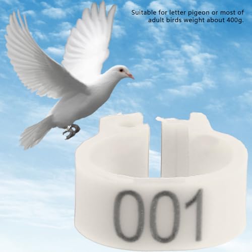 100Pcs Birds Leg Rings, 8mm Pigeon Leg Bands 001 to 100 Numbered Plastic Clip on Identification Rings for Chicks Parrots Finch Dove Lovebird Quail Bantam Lovebirds (White) - color: White