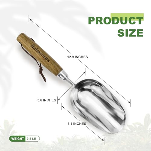 Haliaeetus Potting Soil Scoop, Bend-Proof Stainless Steel Garden Scoop, 1 Cup Big Volume Garden Hand Shovel, Comfortable Wood Handle Dirt Trowel for Transplanting, Cultivation, Composting and Planting