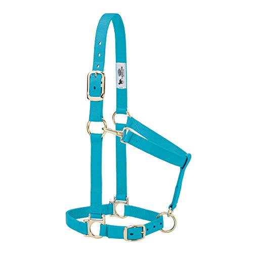 Weaver Leather Nylon Horse Halter, Padded and Adjustable, Chin and Throat Snap Hook Halters for Horses, Brass Plated Halters for Training - color: Turquoise, size: 1" Large Horse