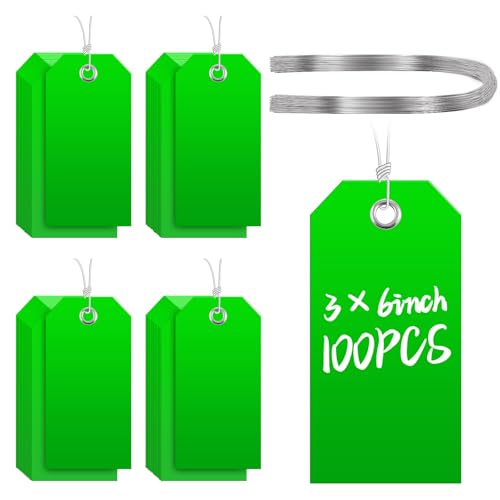 100 Pcs Large Plastic Shipping Tags with Wire Attached Heavy Duty Blank Waterproof Tags with String for Inventory Outdoor Labeling Equipment 6 1/4" x 3 1/8" (Green) - color: Green, size: 6 1/4" x 3 1/8"