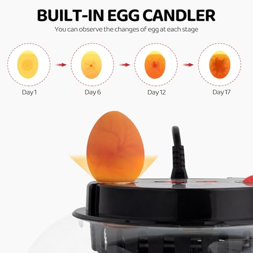 Winado Incubators for Hatching Eggs, 12 Egg Incubator with Auto Water Replenishment & Automatic Egg Turning & Temperature Control, Egg Candler, Duck, and Quail Eggs Hatching