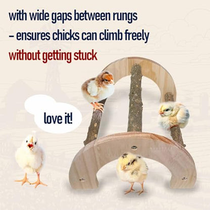 Chick Perch - Natural Wood Chick Roosting Bar for Brooder, Baby Chicken Supplies （1 Pack） - size: 1 Pack