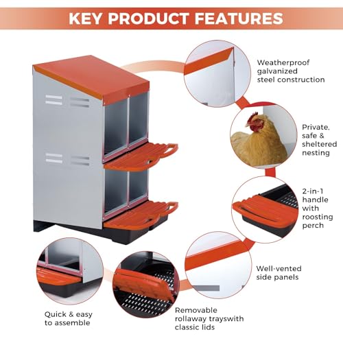 Chicken Nesting Boxes with Cleanable Pull-Out Trays, 4-Hole Wall Mount Roll Away Nest for Easy Cleaning & Egg Collection - size: 4 holes 2 layers