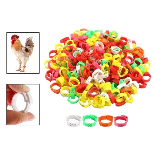 Chicken Leg Bands 100-Pack Poultry Identification Leg Bands, Chicken Foot Rings for Flock Management
