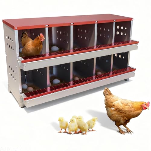 Chicken Nesting Box, 10 Compartment Roll Away Laying Box for Hens, Heavy-Duty Galvanized Steel, Front Egg Collection Tray, 10 Training Eggs Included - color: Red, size: 10 Compartments & 10 Eggs