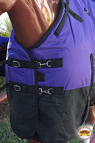 HILASON 1200D Winter Waterproof Poly Horse Turnout Blanket Belly Wrap Purple | 75 in - color: Purple Black, size: 75 In