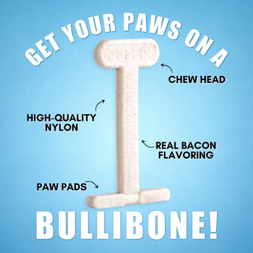Bullibone Nylon Dog Chew Toy for Aggressive Chewers - Dental Hygiene Bone with Bacon Flavor, Durable Tough Chew Toys for Small Dogs, Indestructible Dog Bone - Single - size: Small - Single