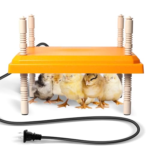 Brooder Plate for Chicks, 12" x 12" Chick Heating Plate Whit Adjustable Heights