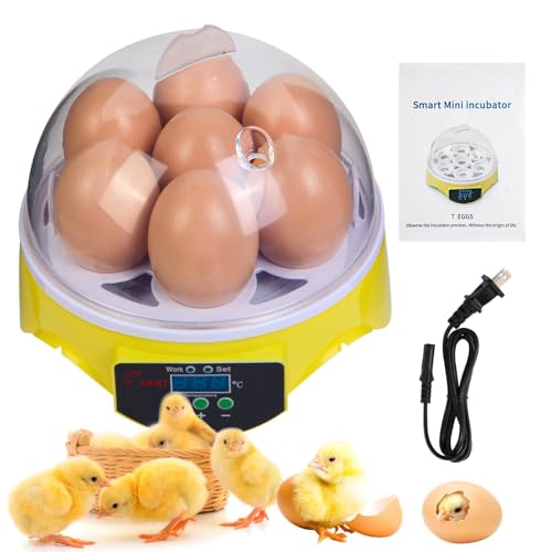 Gen 1-7 Egg Incubator for Kids & Beginners with 360° View, Manual Temperature Control for Chicken, Quail, and Parrot Eggs