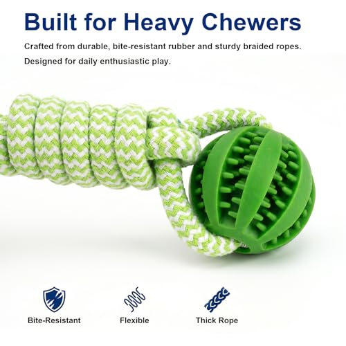 Ronyes 3Pcs Pig Enrichment Toys, Treat Dispenser Ball Toys for Mini Pigs and Farm, Hanging Chew Food Foraging Ball with Rope for Pigs, Pig Toys for Pet Pig