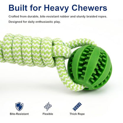 Ronyes 3Pcs Pig Enrichment Toys, Treat Dispenser Ball Toys for Mini Pigs and Farm, Hanging Chew Food Foraging Ball with Rope for Pigs, Pig Toys for Pet Pig