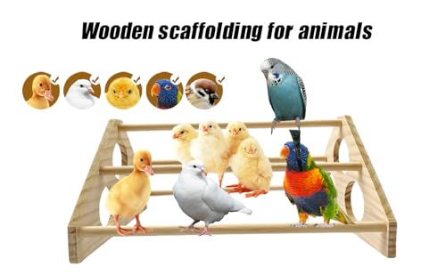 Large Wooden Pine Chick Perch Roosting Bar for Baby Chicks Brooder Coop, Chicken Training Toy Stand - color: Style 1
