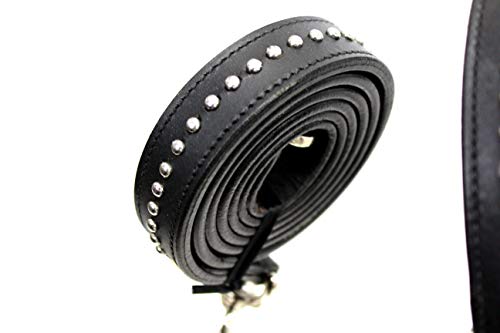 Derby Originals New and Improved Premium Show Spotted Flat Leather Cattle Show Halter with Matching Chain Lead - color: Black, size: Large (950lbs-1500lbs)