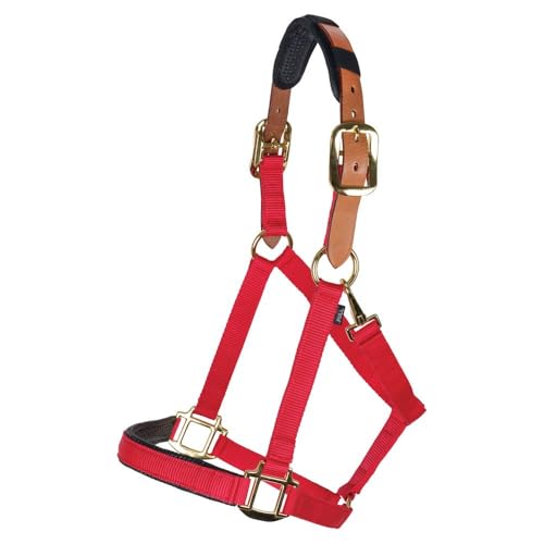 Schneiders Dura-Tech Comfort Plus Nylon Breakaway Halter for Horses | Padded Nose & Crown | Breakaway Leather Crown | Throat Snap | Adjustable Fit for All-Day Comfort - color: Red, size: Cob