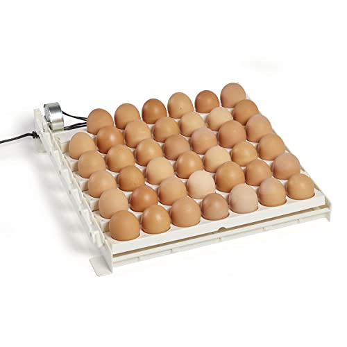 Farm Innovators 3200 Automatic 41 Spot Egg Turner for the Bottom of Incubators to Eliminate Manual Handling and Improve Hatching Rate, White (2 Pack) - size: 2 Pack