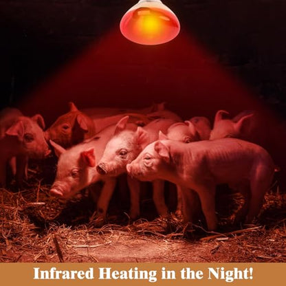 250W Red Heat Lamp Bulbs for Chicken,Infrared Flood Light Heat Lamp Bulb, Incandescent Light Heat Lamps for Chicks, Reptile, Pets, Par38 Glass E26 Base 2PCS - size: Par38 250W 2PCS