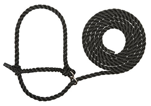 Weaver LivestockRope Halter - color: Black, size: X-Long