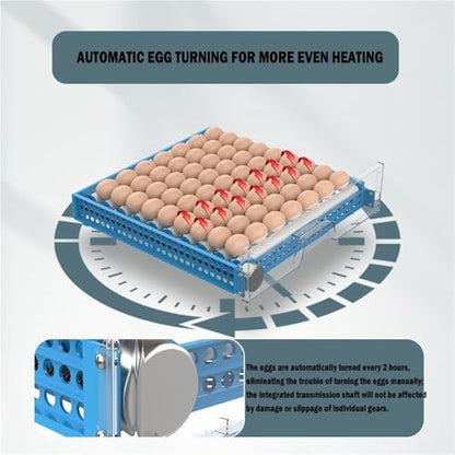 Automatic Egg Incubator For 30 Eggs - Digital Temperature & Humidity Control, 360° View Window, Auto Egg Turner- Commercial & Home Use For Chicken, Duck, Quail Eggs(30) - size: 30