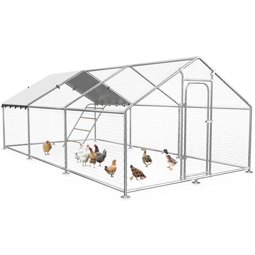 Large Metal Chicken Coop with Weatherproof Cover and Multi-Purpose Chicken Run for Chickens, Ducks, Rabbits, Farm and Yard Animal Pen (10’ W x 19.7’ L x 6.4’ H, Spire Roof-Roosting Perch) - size: 20x10Ft - Spire