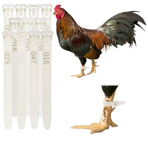 Generic 50-Pack Adjustable Chicken Leg Bands, 10-28 mm Plastic Poultry Identification Chicken Leg Rings for Turkey/Duck/Goose/Chicks, Colorful Numbered Foot Clip on Tags [White]