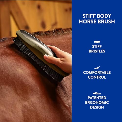 Wahl Professional Animal Equine Grooming Stiff Body Horse Brush, Black (#858705) - color: Black