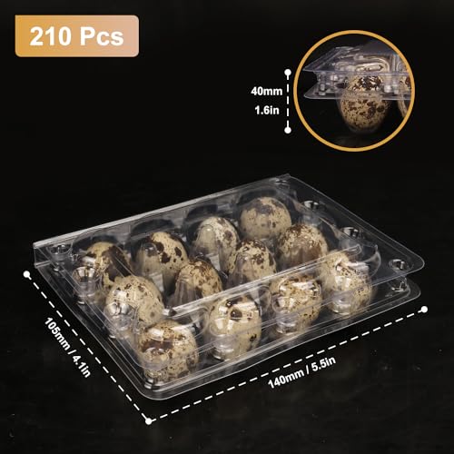 200 Pack Quail Egg Cartons, Clear Plastic Quail Egg Trays, Holds up to 12 Quail Eggs Securely - Your Ultimate Small Eggs Carton Holders for Bulk Storage and Display - size: 200 Pack Quail Egg Cartons 12 Grids