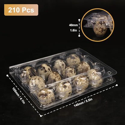 200 Pack Quail Egg Cartons, Clear Plastic Quail Egg Trays, Holds up to 12 Quail Eggs Securely - Your Ultimate Small Eggs Carton Holders for Bulk Storage and Display - size: 200 Pack Quail Egg Cartons 12 Grids
