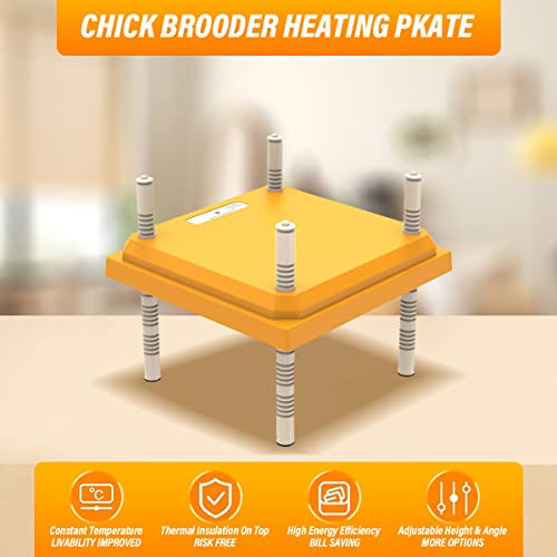 Chick Brooder, Chick Brooder Heating Plate, Chick Incubator Heating Lamp, Height Adjustable, Suitable for 15 Chicks.